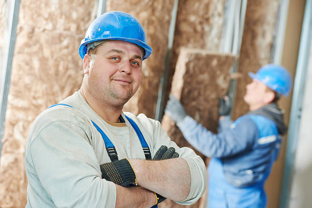 Best Insulation Installation Services in Shenandoah, PA